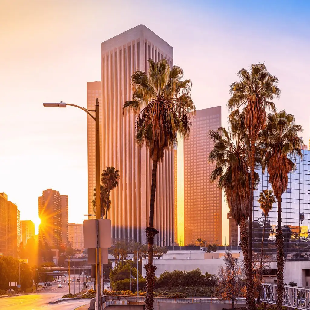 Downtown cityscape with tall office buildings, palm trees, and a street at sunset; sunlight reflecting off the modern glass and concrete structures creates a vibrant urban atmosphere.